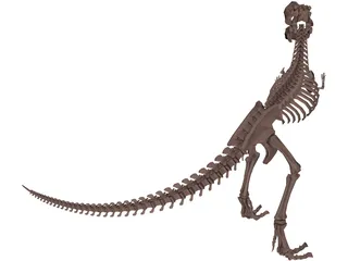 Dinosaur Skeleton 3D Model