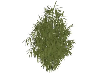 Bamboo Cluster Small 3D Model