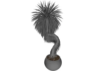 Bonsai Tree 3D Model