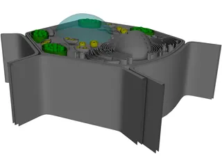 Plant Cell 3D Model