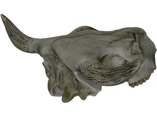 Cow Skull 3D Model