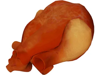 Human Heart 3D Model