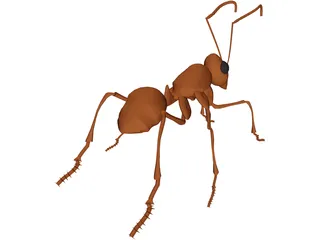 Ant 3D Model