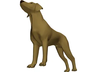 Dog Braco 3D Model