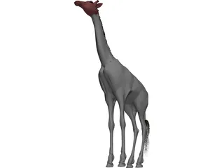 Giraffe 3D Model