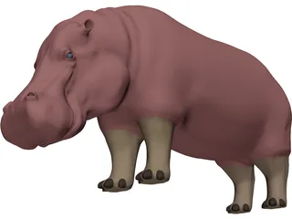 Hippopotamus 3D Model