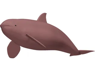 Whale Killer Female 3D Model