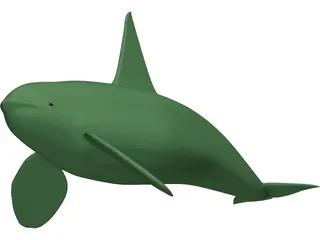 Whale Killer Male 3D Model