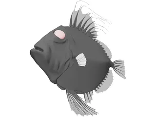 San Peters Fish 3D Model