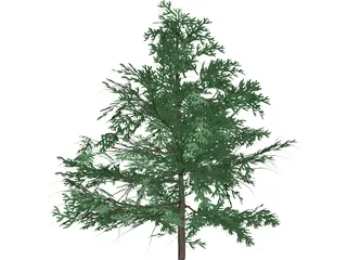 False Golden Larch 3D Model