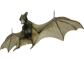 Bat 3D Model