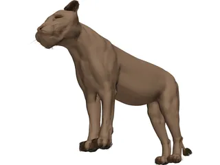 Lioness 3D Model