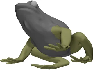 Frog 3D Model