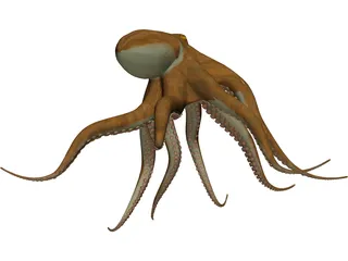 Octopus Vulgaris 3D Model