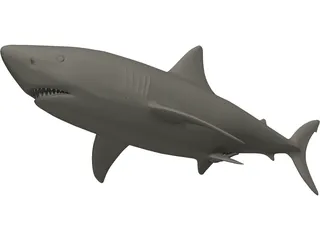 Shark White Male 3D Model