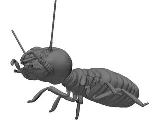 Termite 3D Model