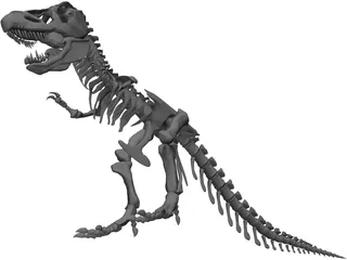 Tyrannosaurus Rex Skeleton 3D Model