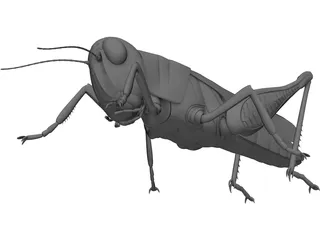 Grasshopper 3D Model