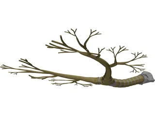 Bronchial Tree 3D Model