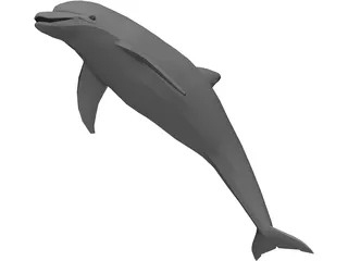 Dolphin 3D Model