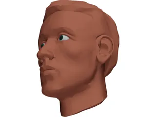 Face Muscles and Head 3D Model