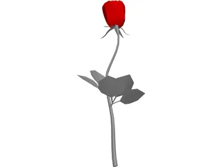 Rose 3D Model