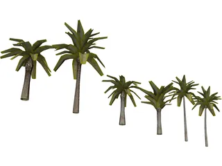 Palm Collection 3D Model