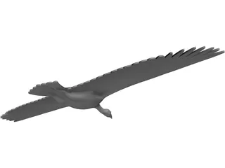 Vulture 3D Model