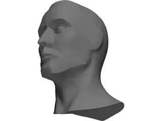 Head Male 3D Model