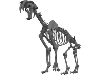 Tiger Saber Tooth Skeleton 3D Model