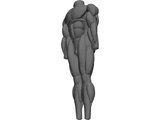 Muscles Body 3D Model