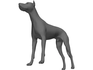 Dog 3D Model