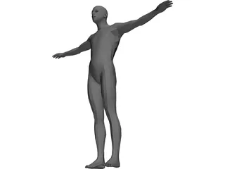 Human Body Male 3D Model