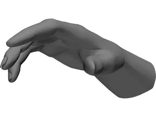 Hand Male 3D Model