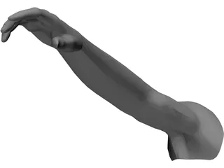 Arm Male 3D Model