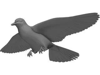 Dove 3D Model