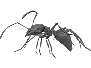 Ant 3D Model