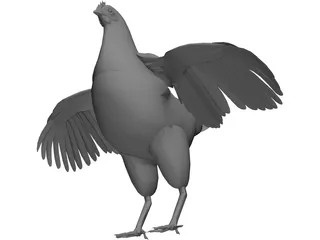 Chicken 3D Model