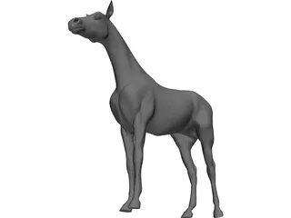 Horse 3D Model