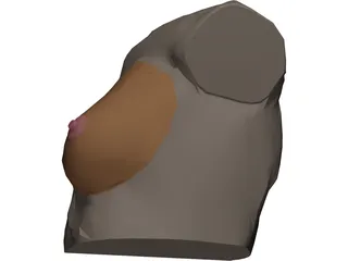 Breast 3D Model