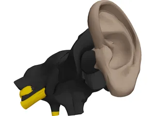 Ear 3D Model