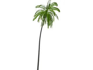 Palm Tree Cocoa 3D Model