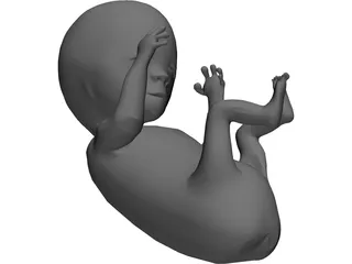 Baby Fetus Infant 3D Model