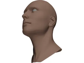 Head Male 3D Model