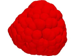 Raspberry 3D Model