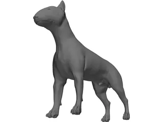 Dog Bull Terrier 3D Model