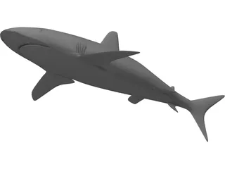 Shark 3D Model