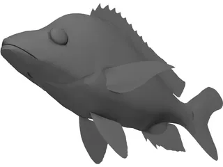 John Dory Type Fish 3D Model