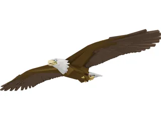 Bald Eagle 3D Model