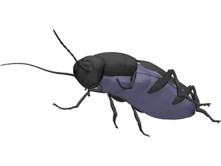 Firebeetle 3D Model